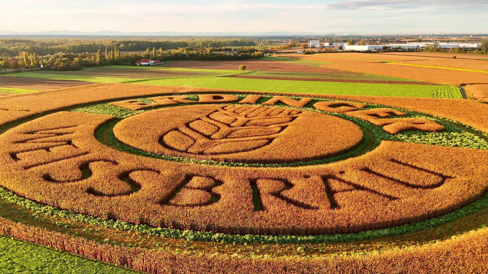 ERDINGER Schriftzug als großflächige Feldwerbung