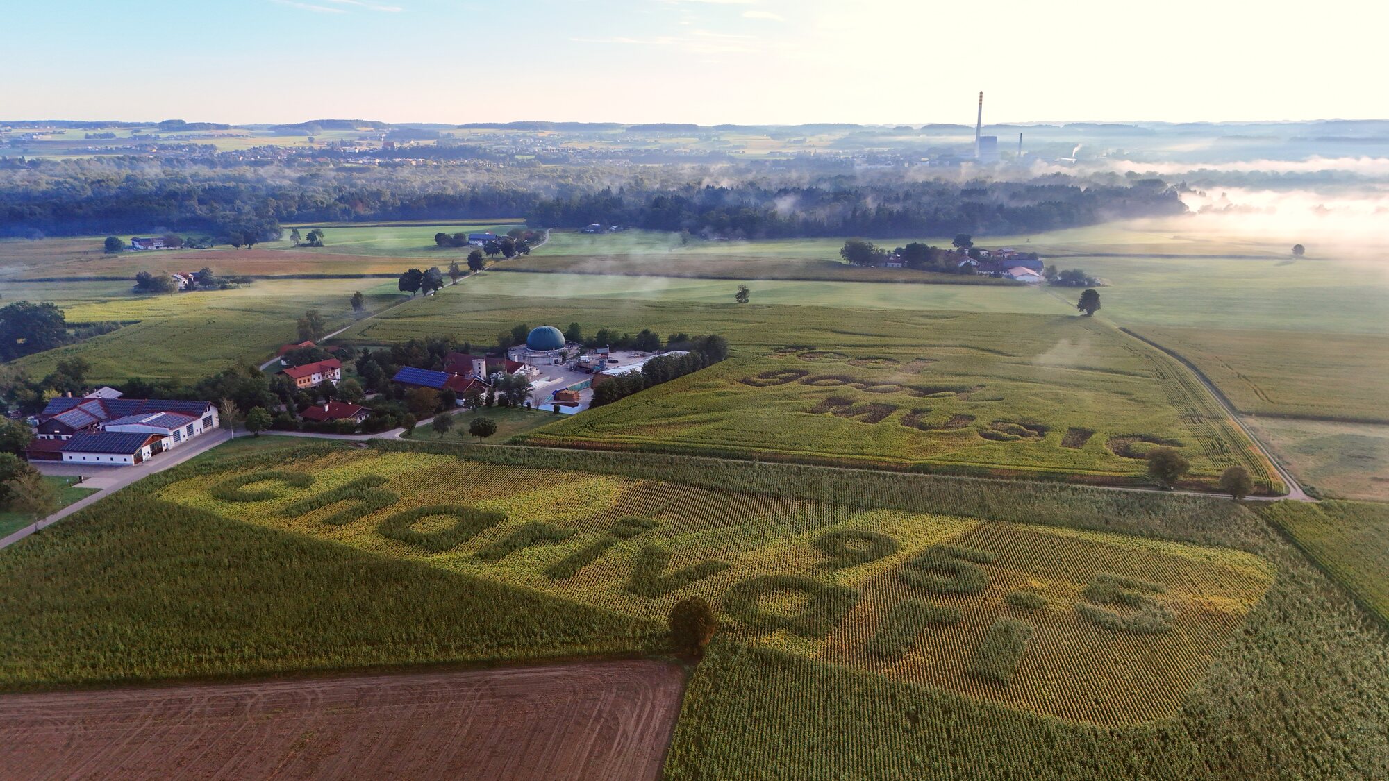 Atmosphärisches Geobranding im Morgennebel