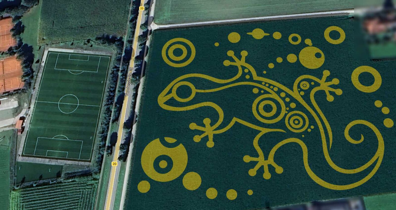 Skizze einer komplexen Eidechsen-Geoglyphe in Google Earth