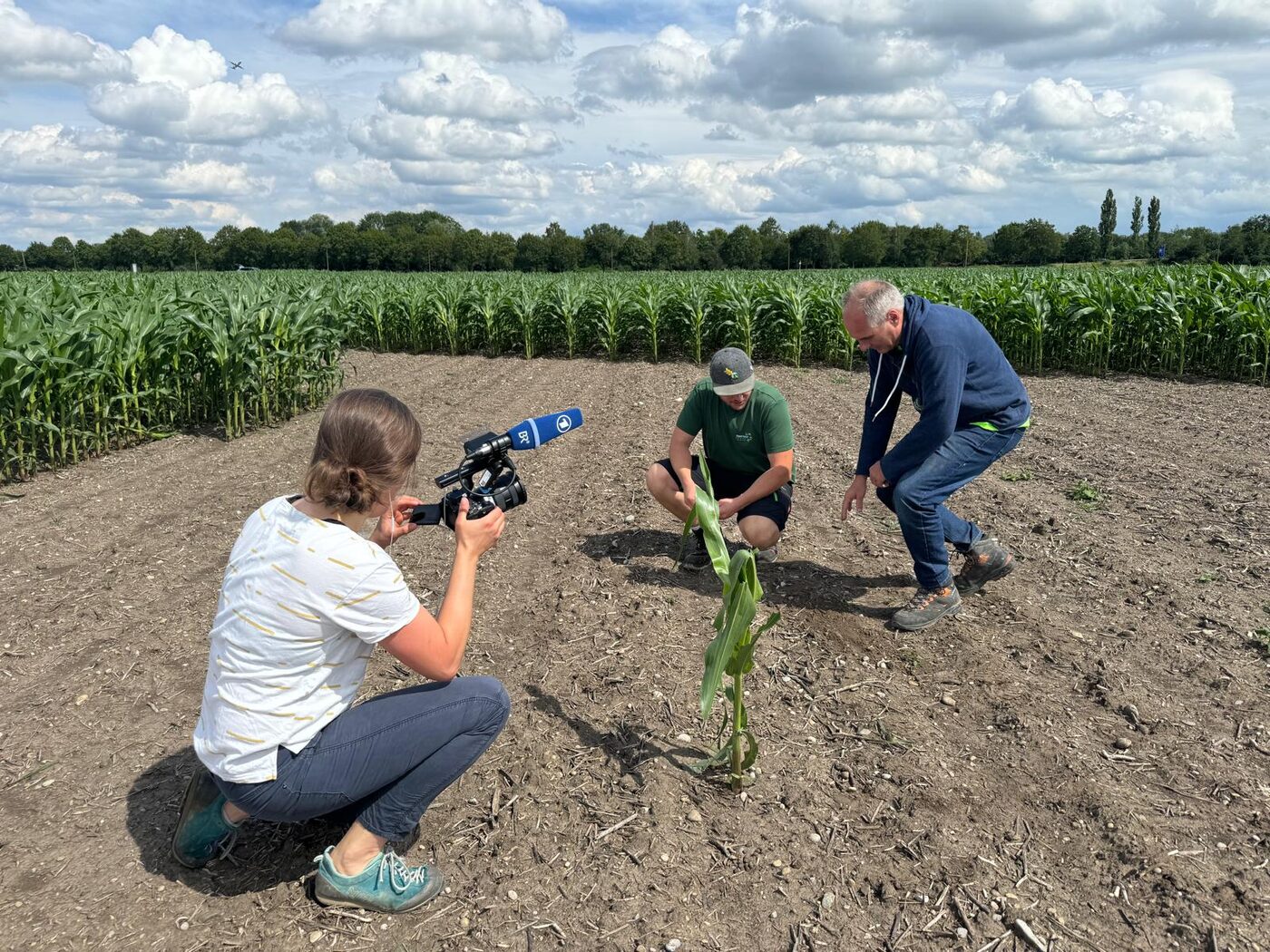 Fernsehproduktion auf einem GEOXIP Feld